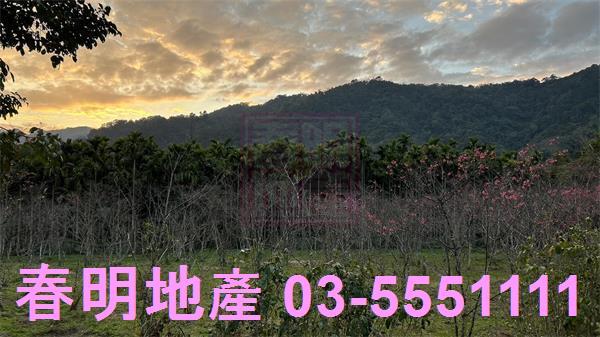 北埔農地-3