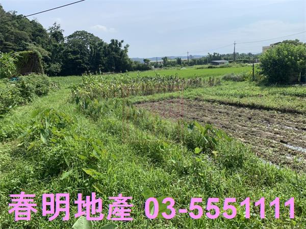 新竹新埔農地-9