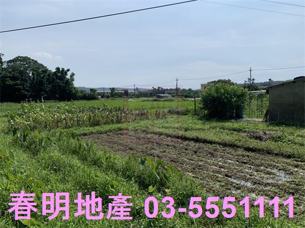 新竹新埔農地-11