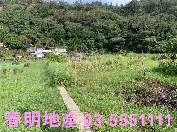 新竹新埔農地-0
