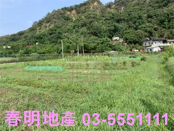 新竹新埔農地-1