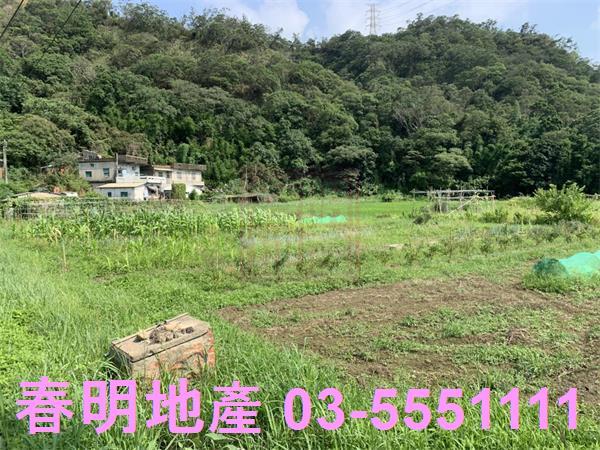 新竹新埔農地-5