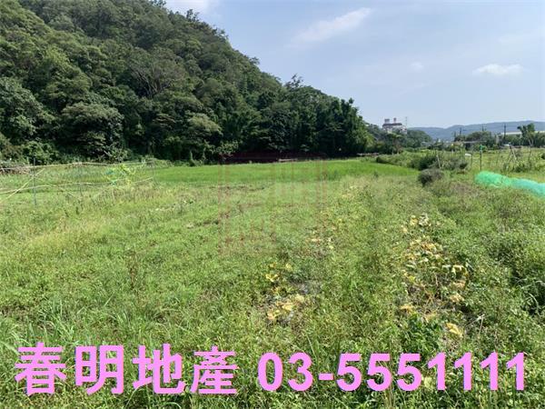 新竹新埔農地-6