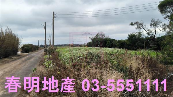 新竹新豐農地-2