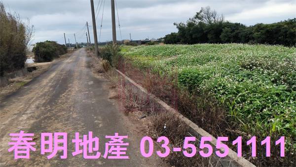 新竹新豐農地-3