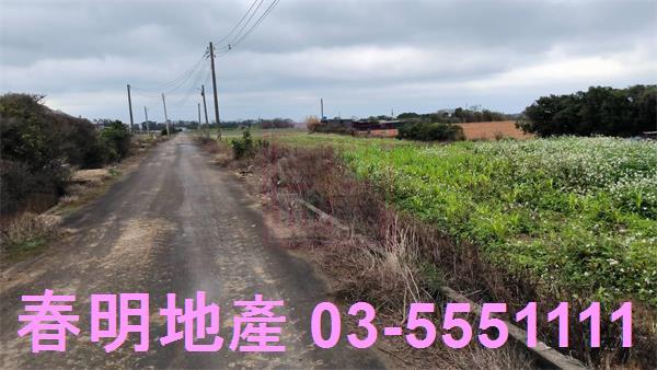 新竹新豐農地-4