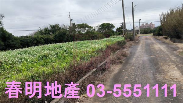 新竹新豐農地-5
