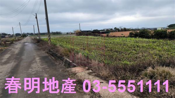 新竹新豐農地-6