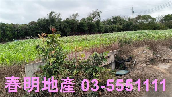 新竹新豐農地-7