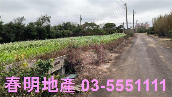 新竹新豐農地-8