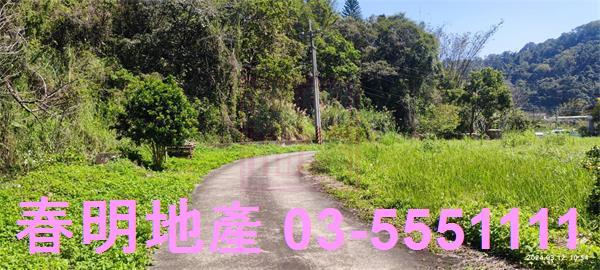 橫山農地-5