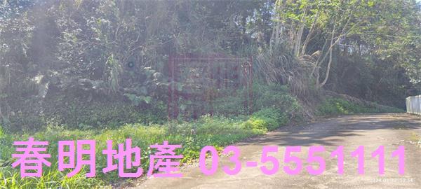 橫山農地-6