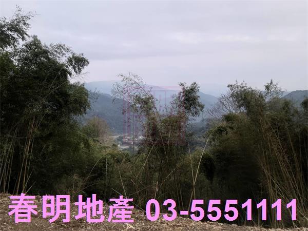 橫山農地-1