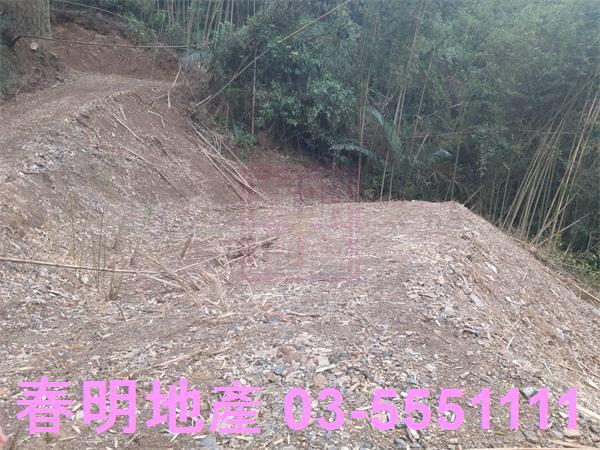 橫山農地-2