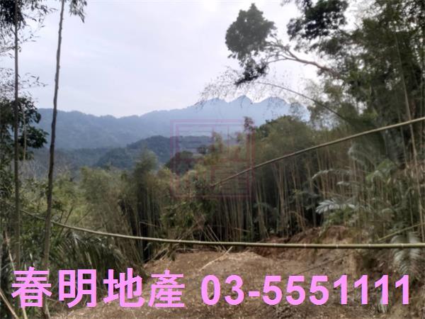 橫山農地-3