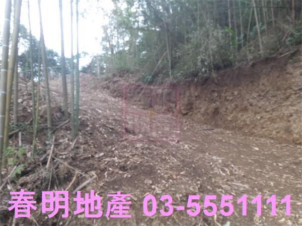 橫山農地-4