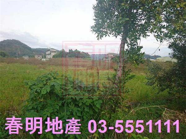 新竹農地-2