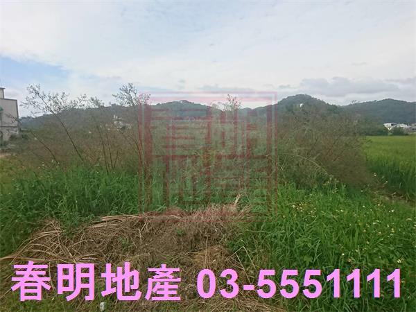 新竹農地-4