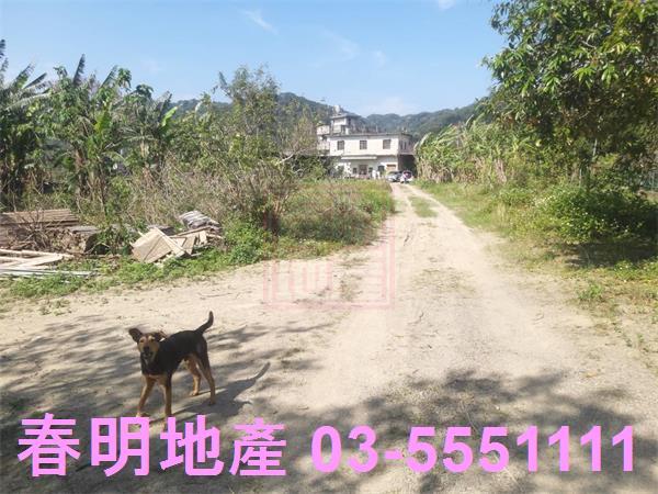 新竹芎林農地-10