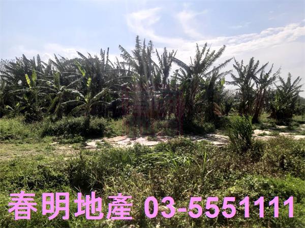 新竹芎林農地-12