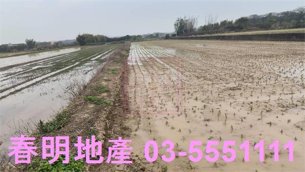 新豐農地-0