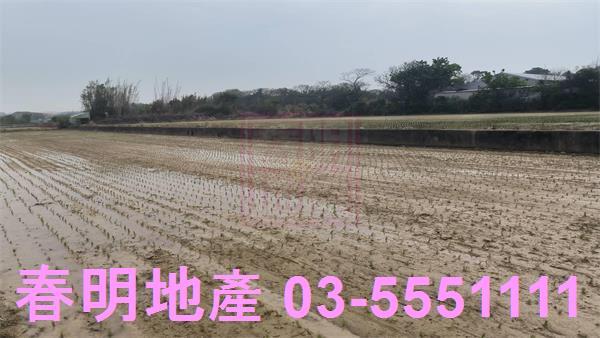 新豐農地-1
