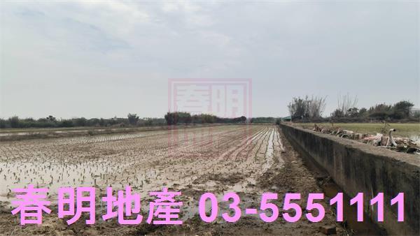 新豐農地-3