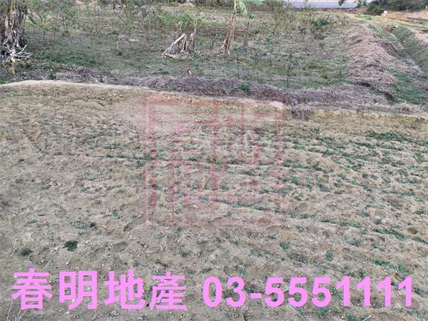 新竹農地-6