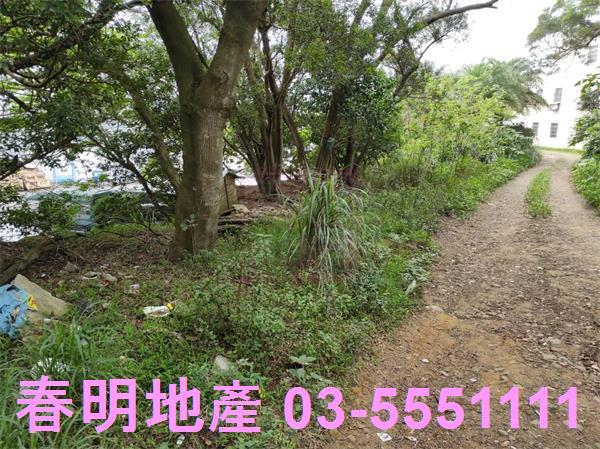 新竹農地-9