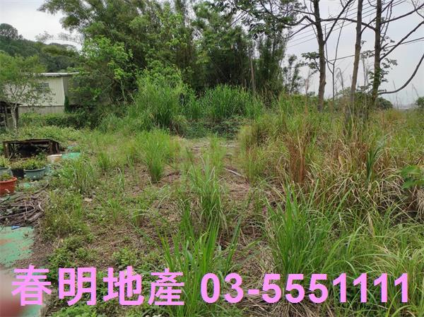 新竹農地-10
