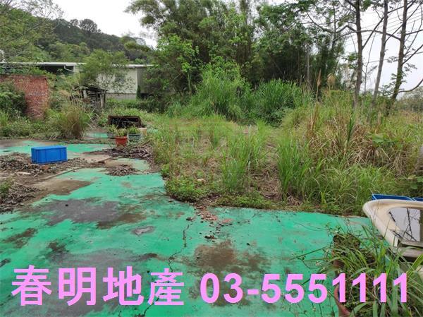 新竹農地-11
