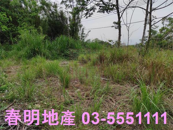 新竹農地-13