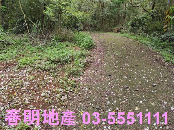 新竹農地-2