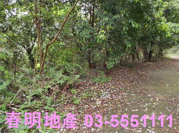 新竹農地-3