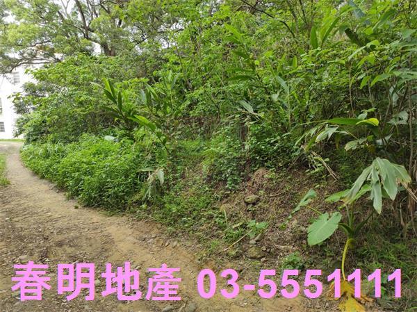 新竹農地-4