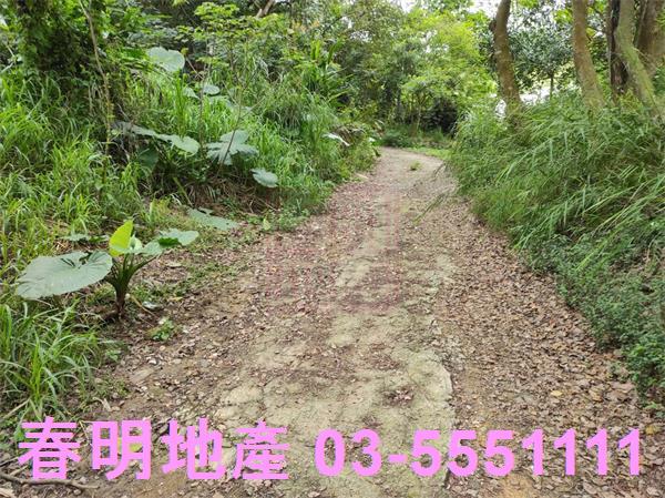 新竹農地-5