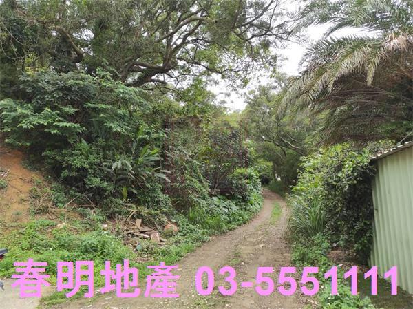 新竹農地-7