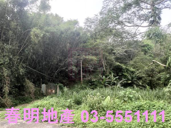 北埔農地-1