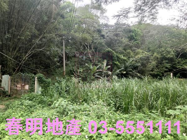 北埔農地-3