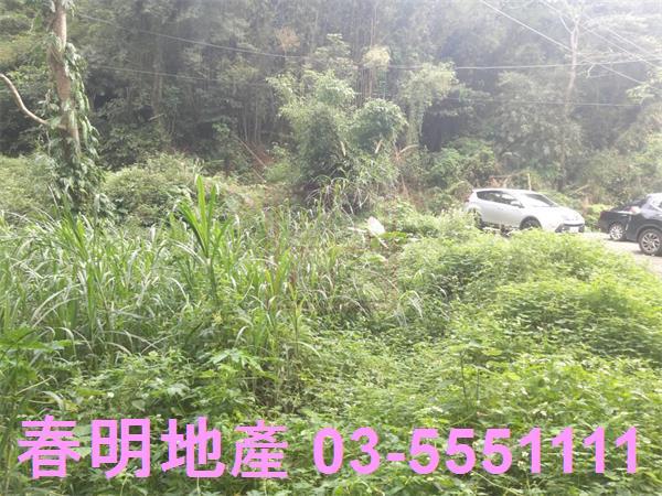 北埔農地-4