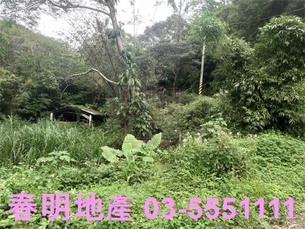 北埔農地-6