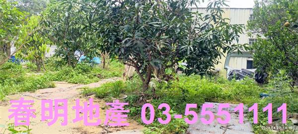 新竹新埔農地-0