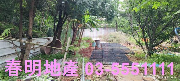 新竹新埔農地-1