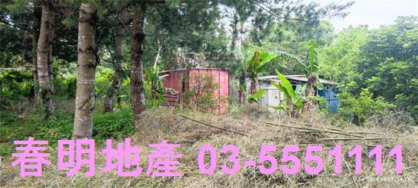 新竹新埔農地-3