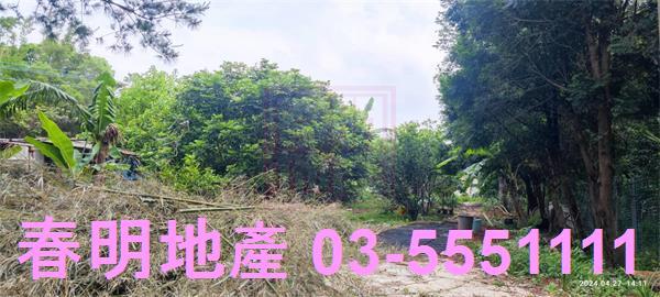 新竹新埔農地-4