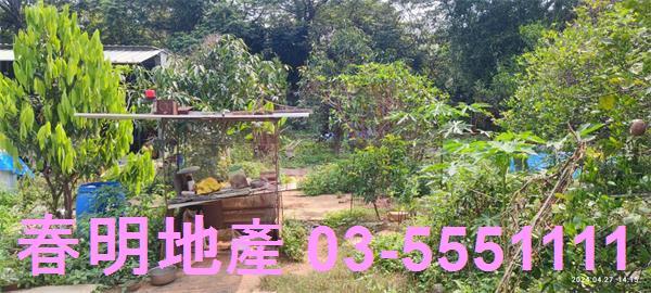 新竹新埔農地-8