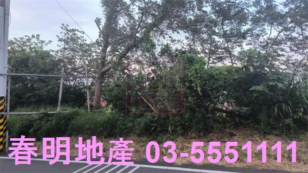 新竹香山林地-3