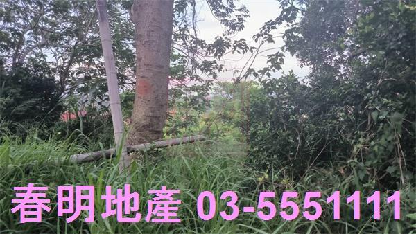 新竹香山林地-4