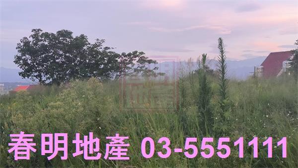新竹香山林地-5