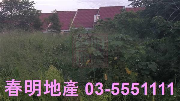 新竹香山林地-6